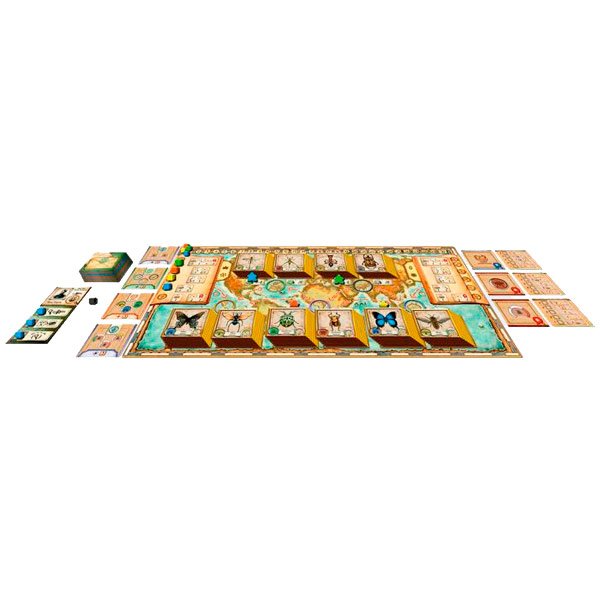 insecta, the ladies of entomology joc de taula/juego de mesa