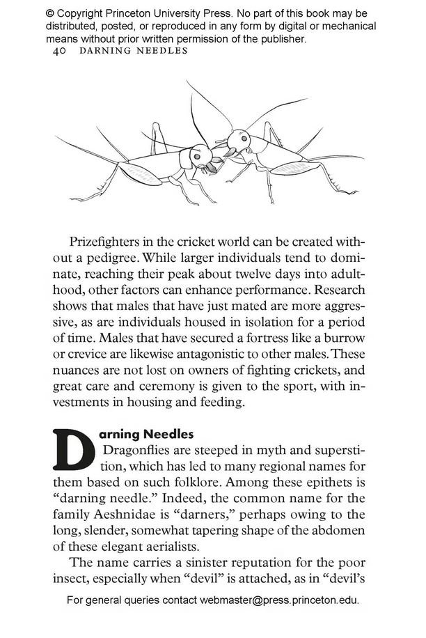 insectpedia. a brief compendium of insect lore