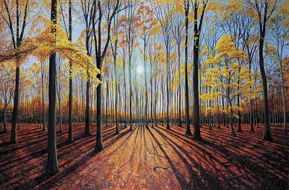 into the woods. a celebration of trees