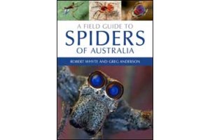 invertebrats d'oceania