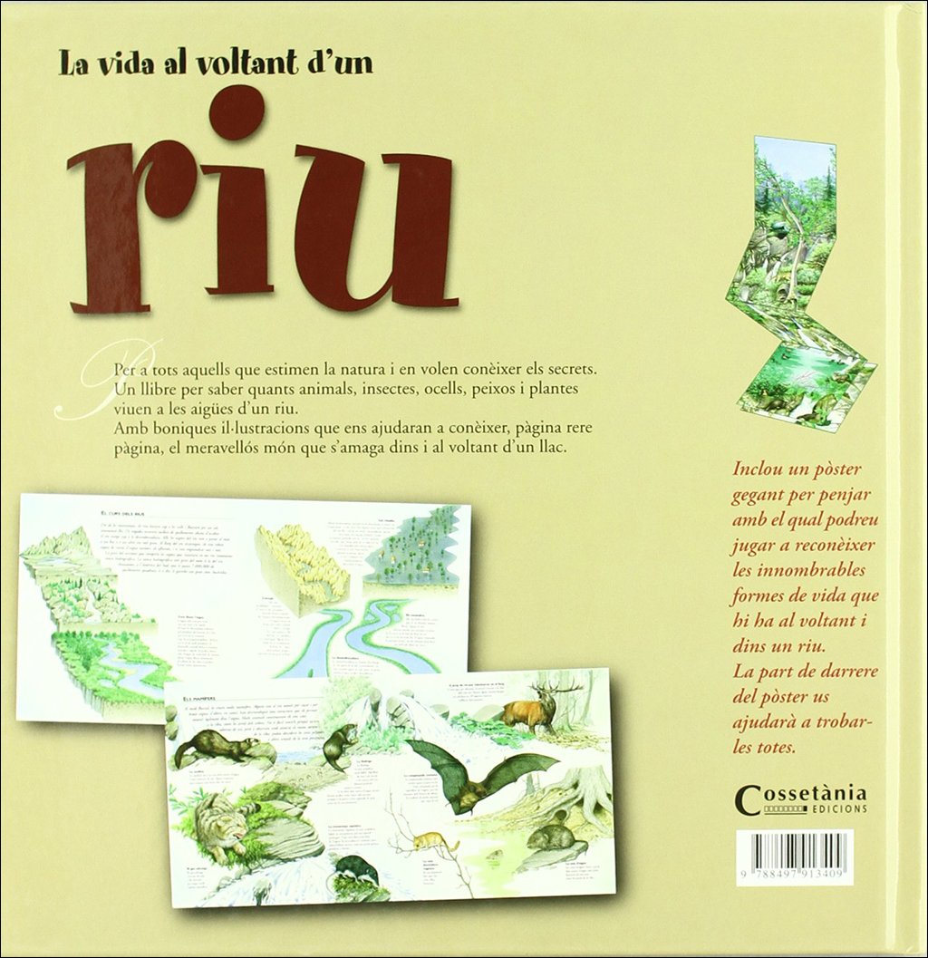 la vida al voltant d'un riu