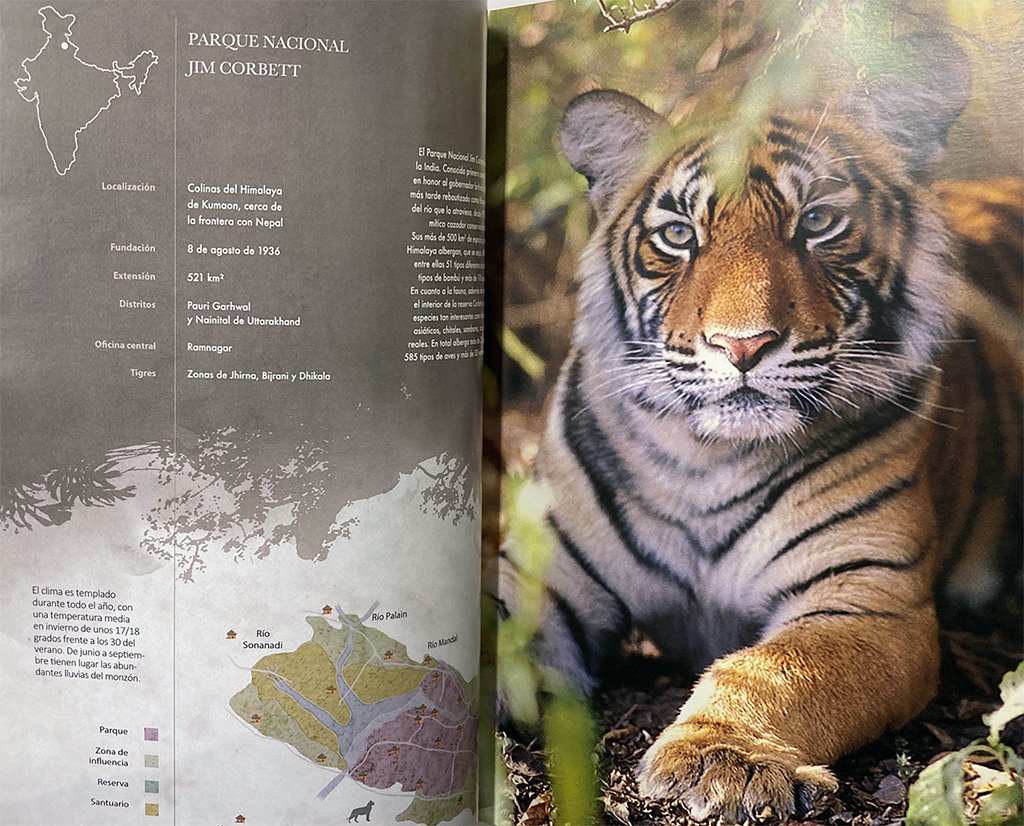 los senderos del tigre. historias de tigres y humanos