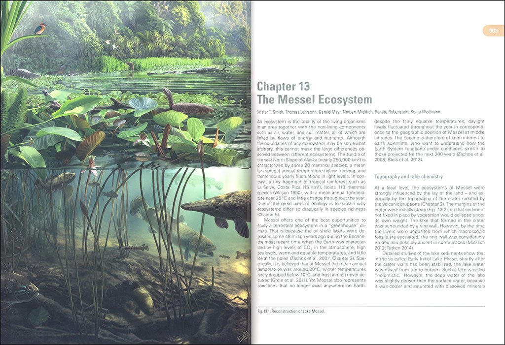messel: an ancient greenhouse ecosystem