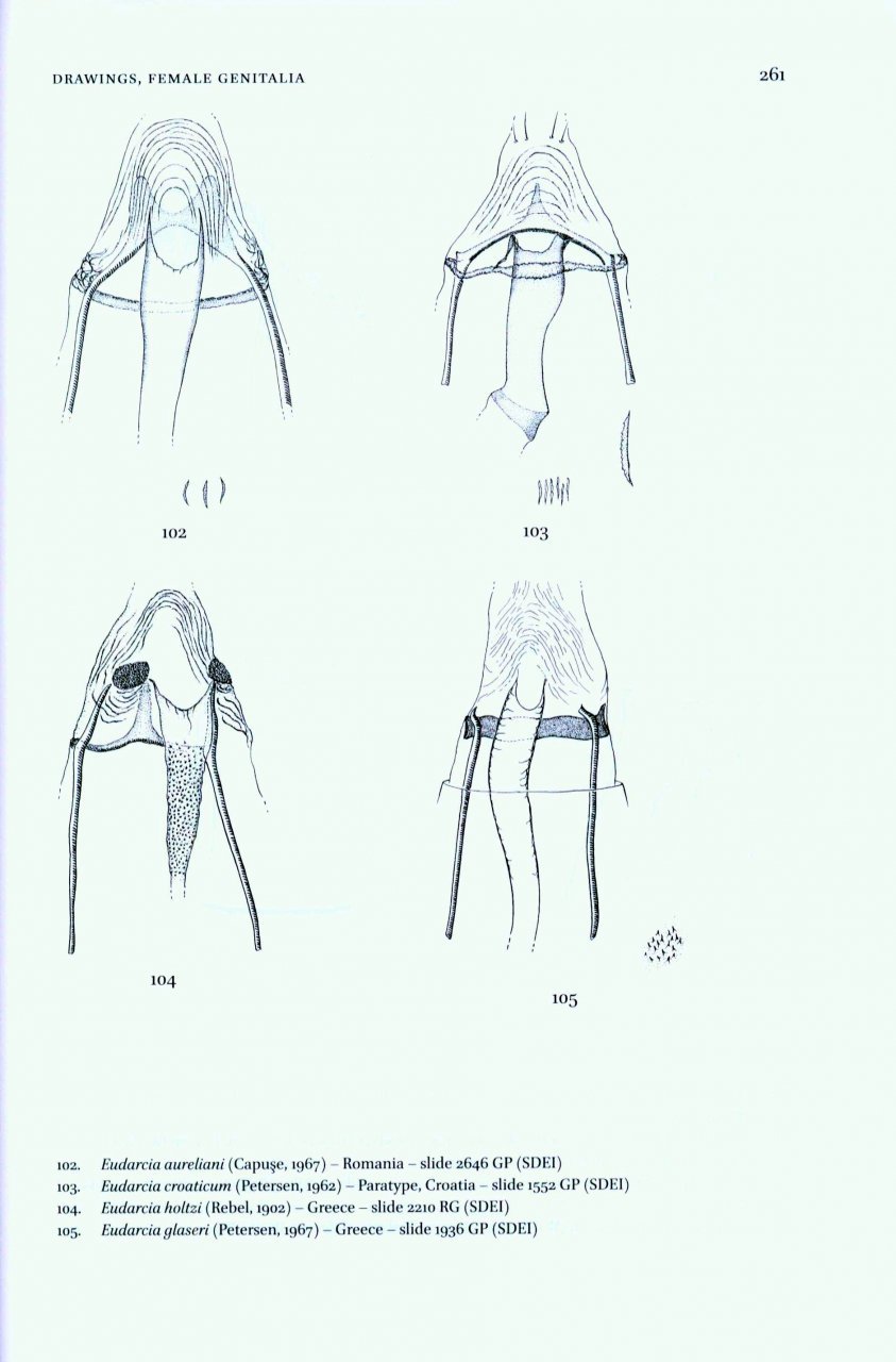 microlepidoptera of europe, volume 7 tineidae i (dryadaulinae, hapsiferinae, euplocaminae, scardiinae, nemapogoninae and meessiinae)