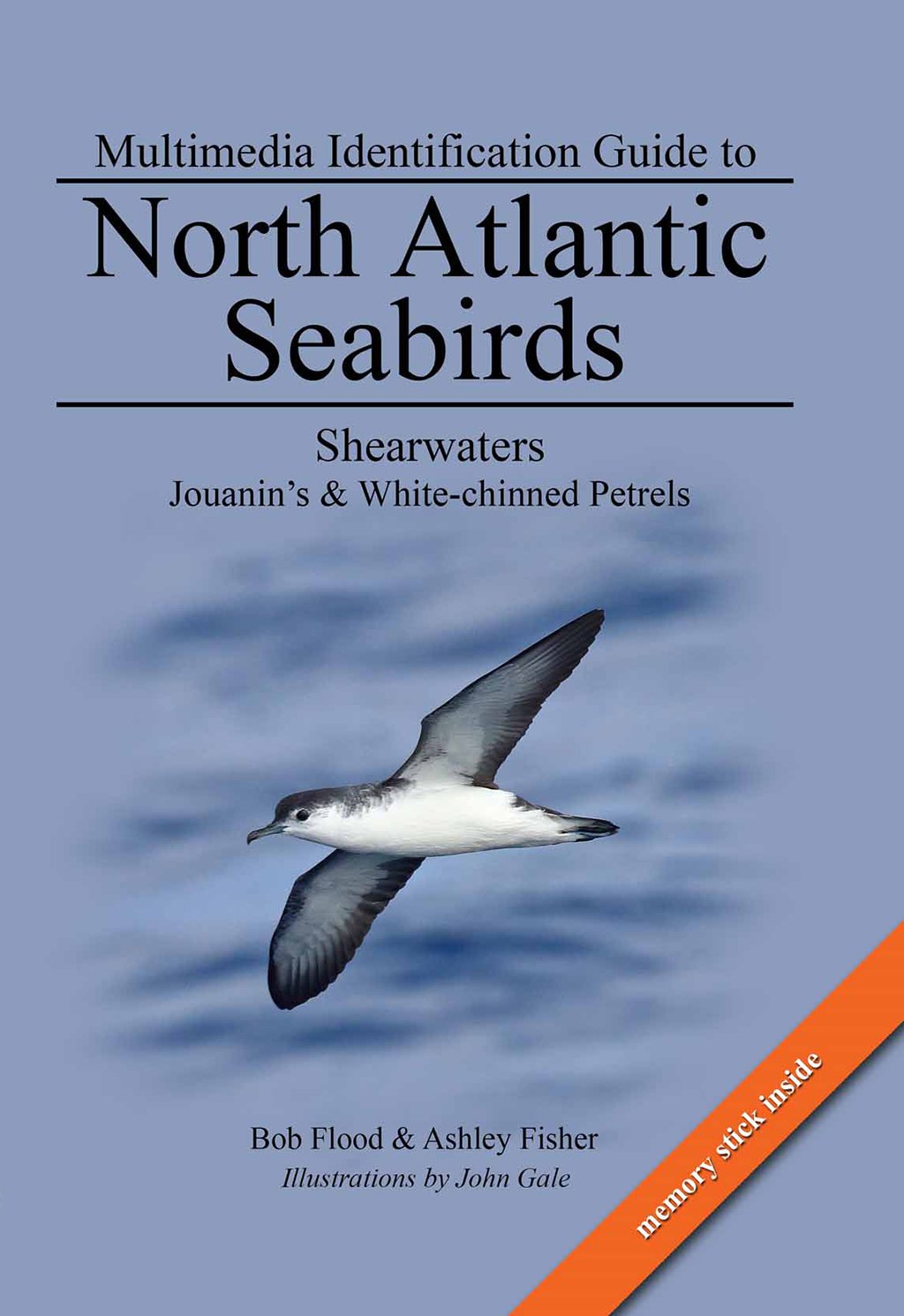 multimedia identification guide to north atlantic seabirds. shearwaters. jouanin's & white-chinned petrels