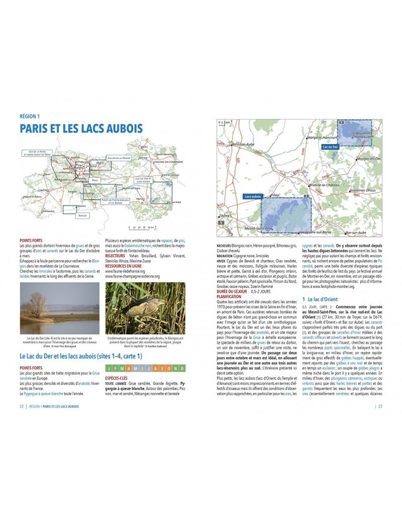 observer les oiseaux en france