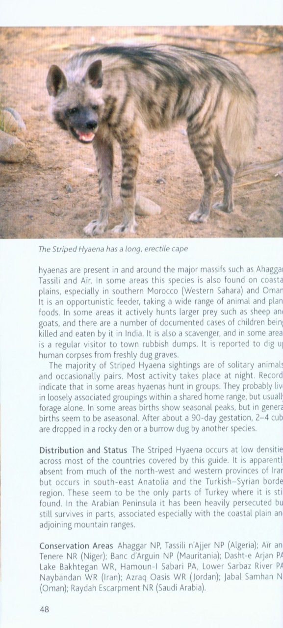 pocket photo guide to the mammals of north africa and the middle east