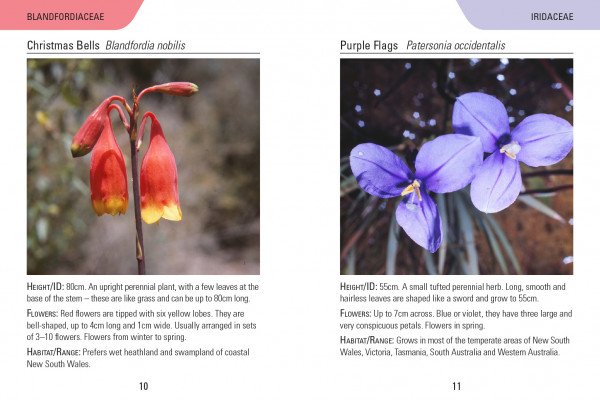 reed concise guide. wildflowers of australia