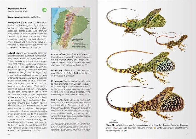 reptiles of ecuador. life in the middle of the world