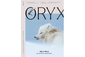 revista oryx