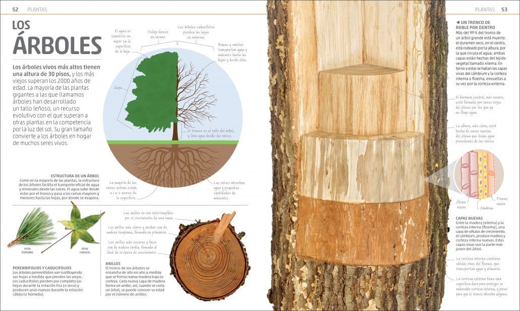 secretos de la naturaleza