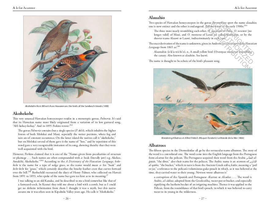 the bird name book