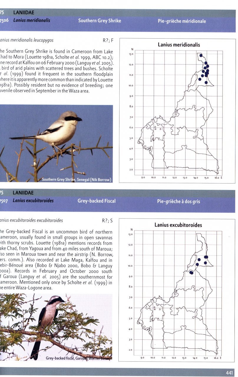 the birds of cameroon. their status and distribution