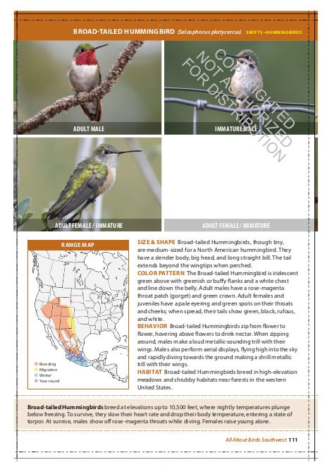 the cornell lab of ornithology. regional field guide series. all about birds southwest