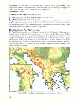the freshwater gastropods of the west-palaearctis. volume 2: moitessieriidae, bythinellidae, stenothyridae