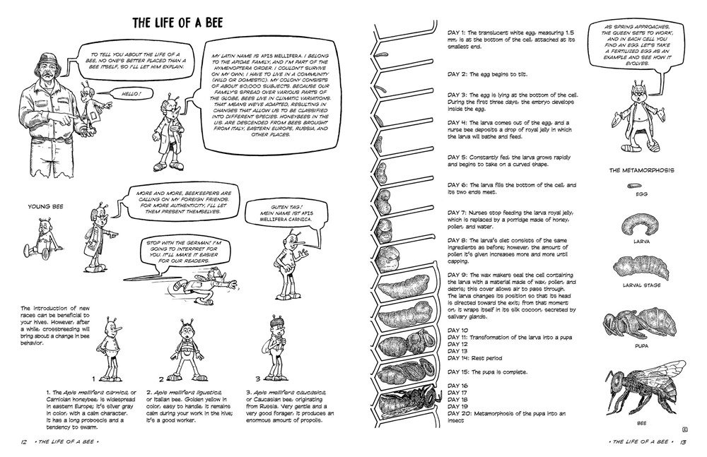 the graphic guide to beekeeping. your complete visual resource for sweet success