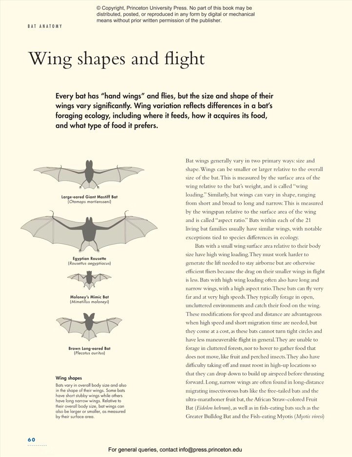 the lives of bats. a natural history