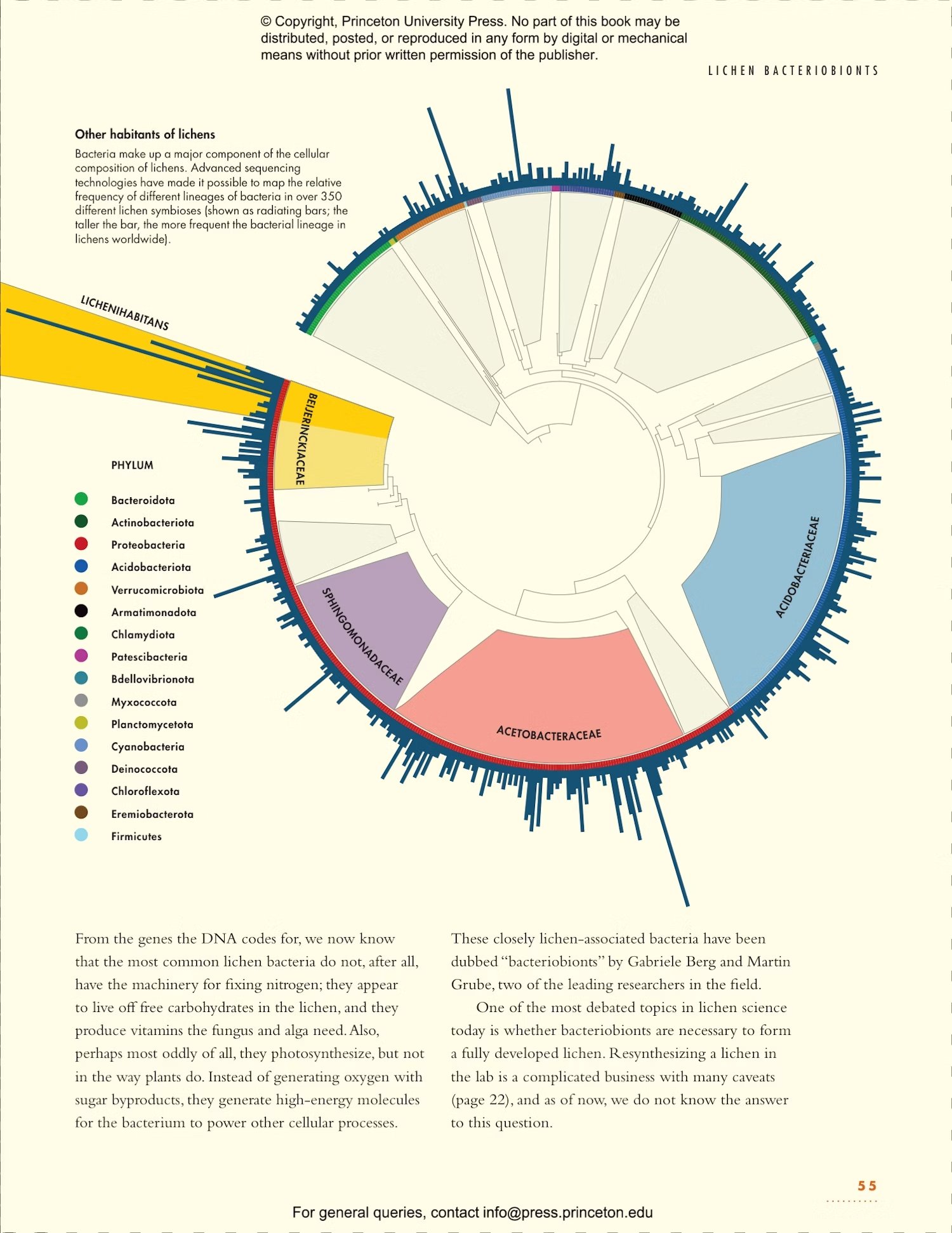 the lives of lichens: a natural history