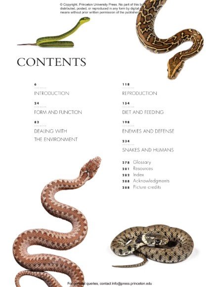 the lives of snakes: a natural history of the world's snakes