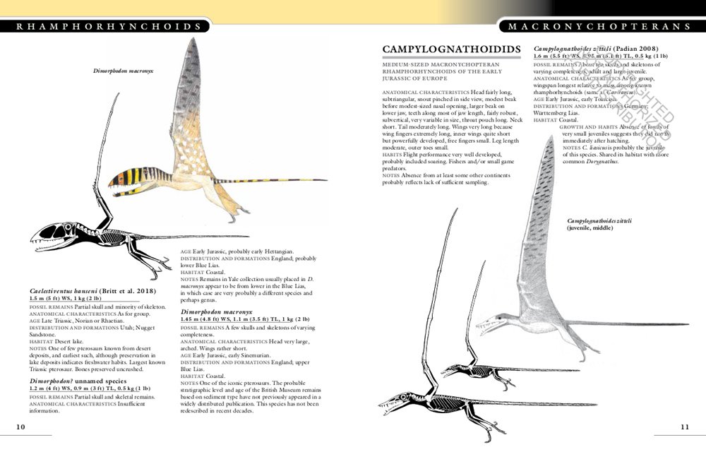 the princeton field guide to pterosaurs