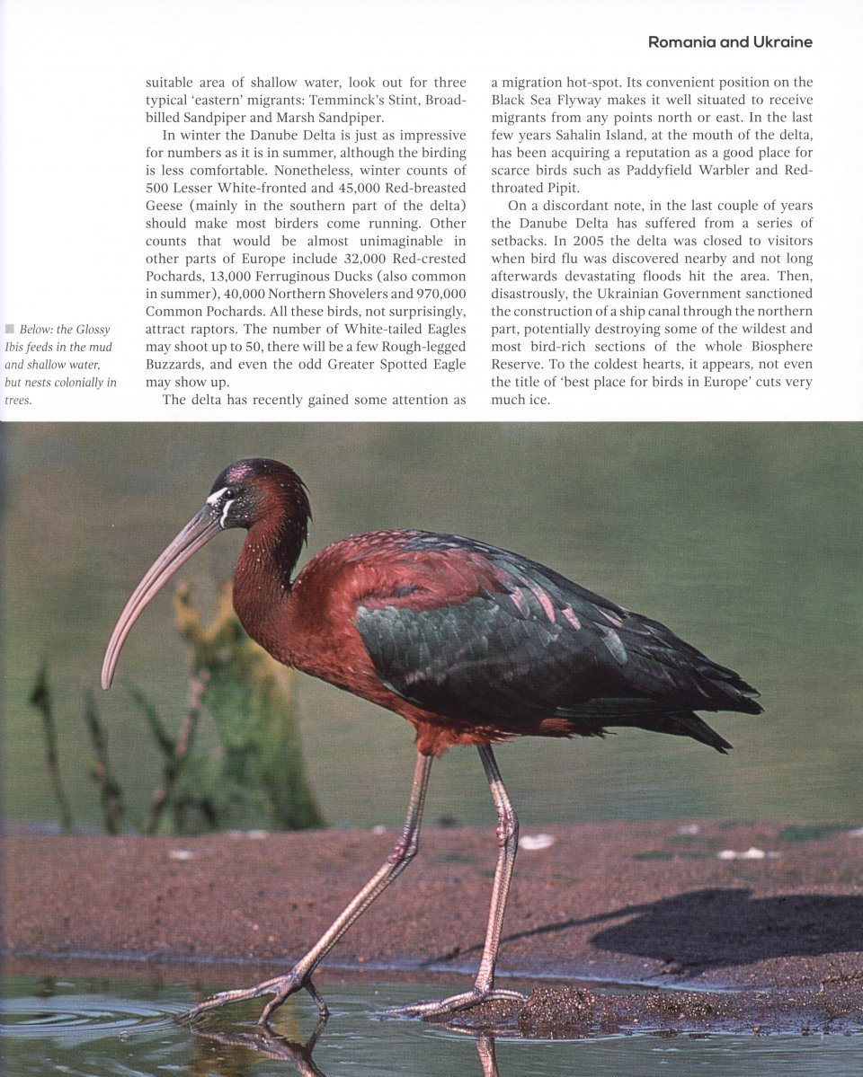 top 100 birding sites of the world
