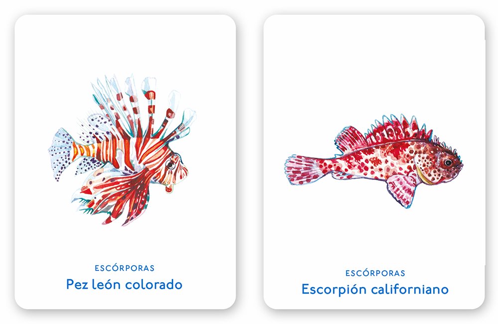 un mar de animales. juego de memoria