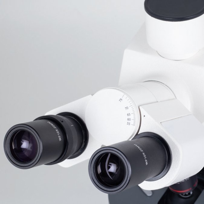 motic silver253 microscopio trinocular con portaobjetivos quntuple con objetivo 100x de immersin.