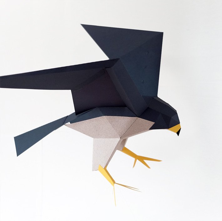 plegopaper- figura recortable de halcn peregrino (falc pelegr)