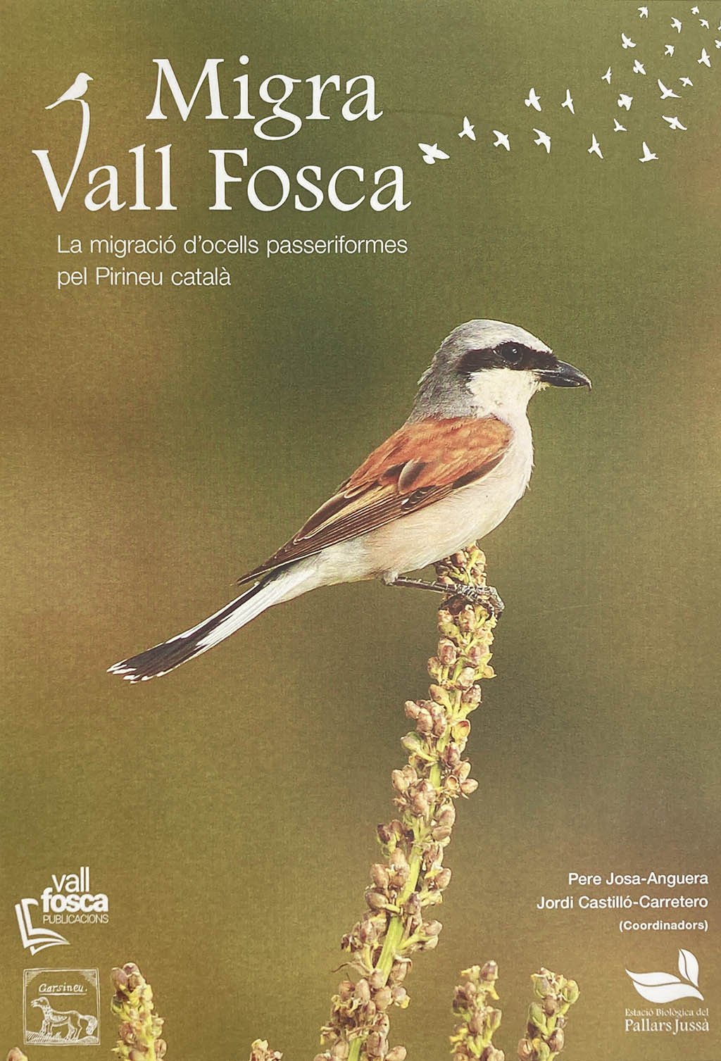 migra vall fosca. la migraci d'ocells passeriformes pel pirineu catal