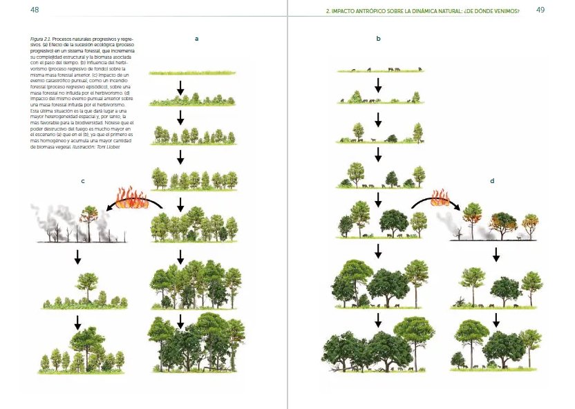 rewilding iberia. explorando el potencial de la renaturalizacin en espaa