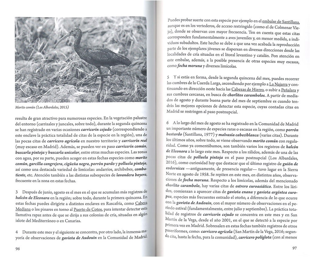 cundo y dnde ver aves en madrid