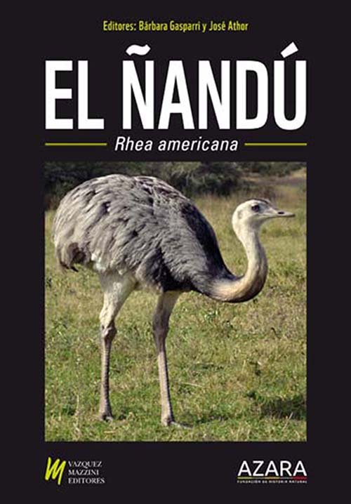 el and (rhea americana))