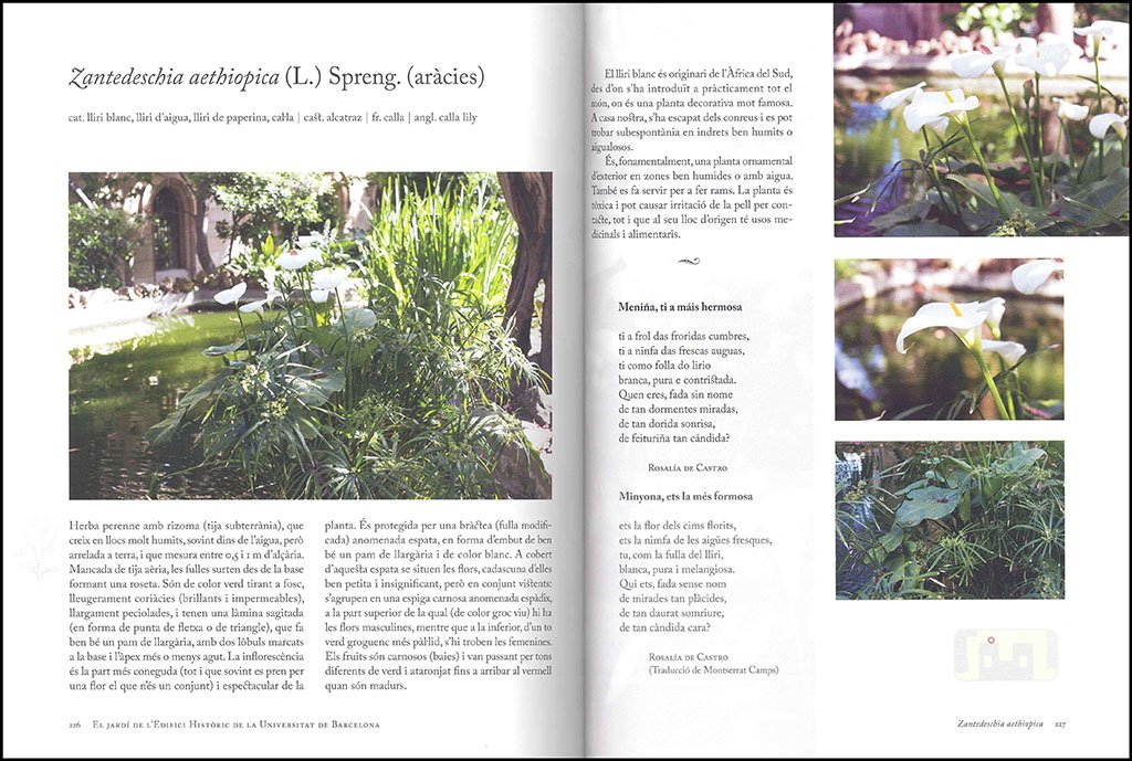 el jard de l'edifici histric de la universitat de barcelona. 101 plantes per a una passejada botnica i literria