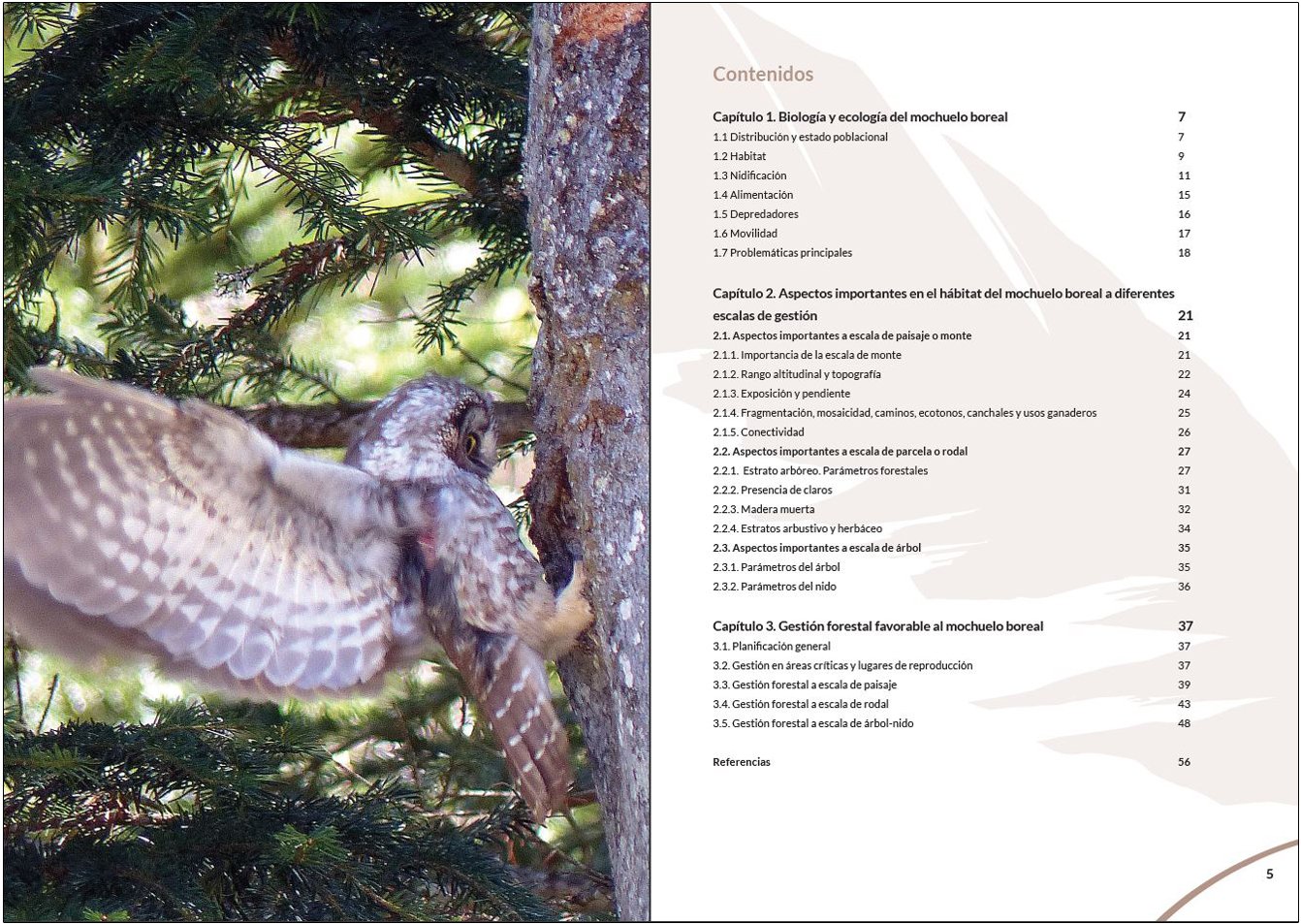 manual para la gestin del hbitat del mochuelo boreal