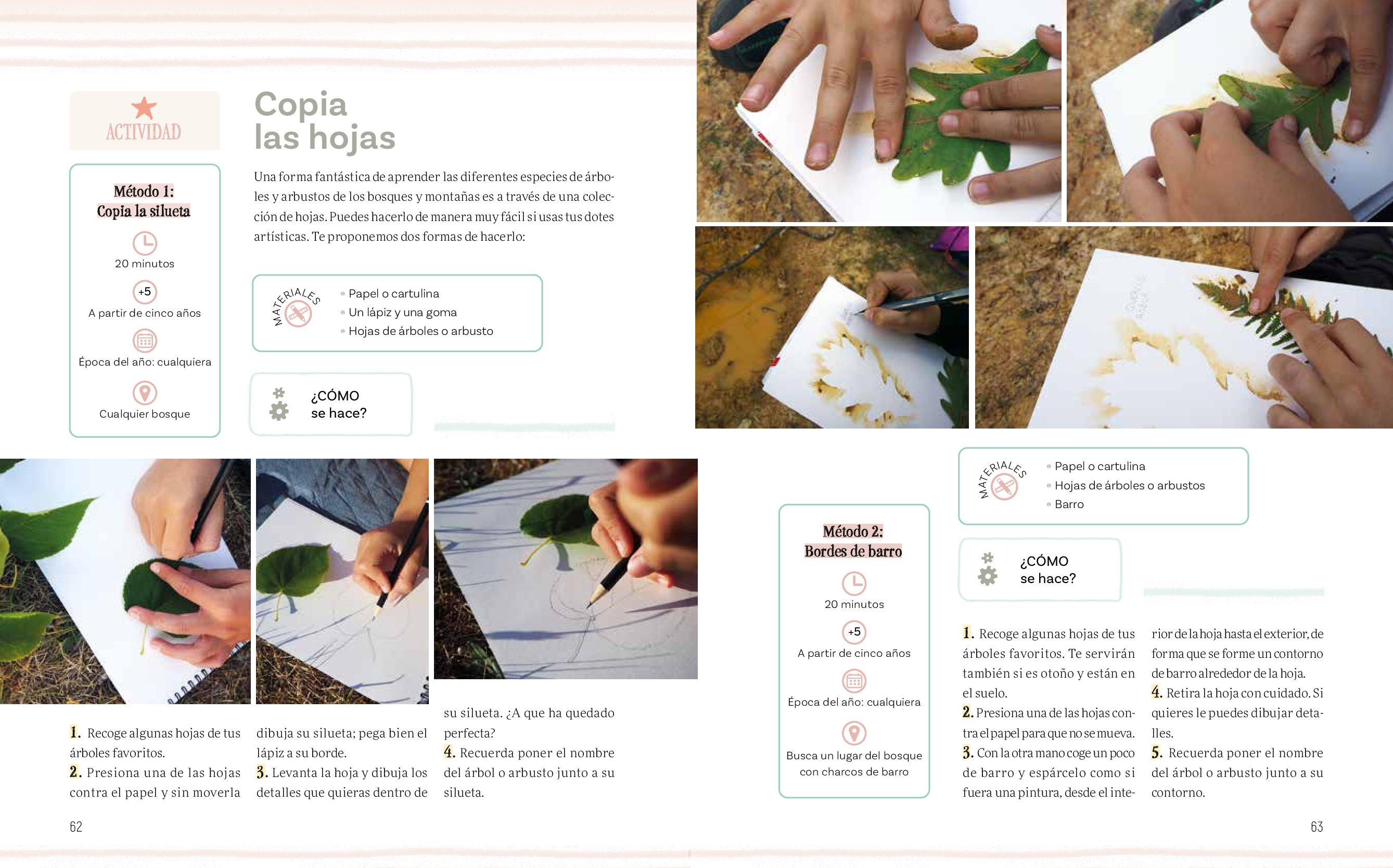 cuaderno de campo para jvenes naturalistas. secretos del bosque.