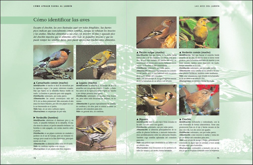 cmo atraer fauna al jardn