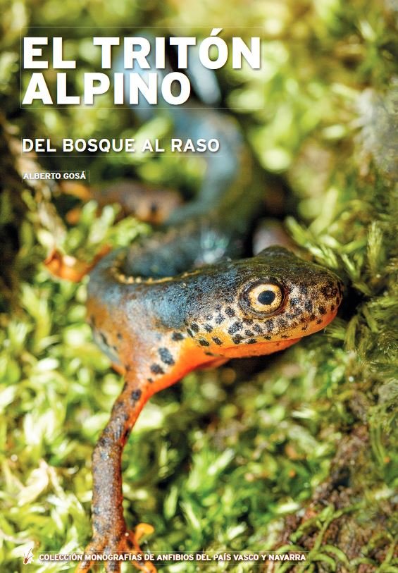el tritn alpino: del bosque al raso