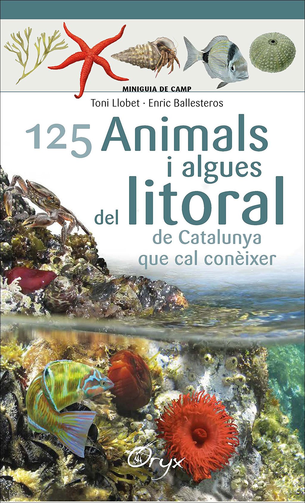 125 animals i algues del litoral de catalunya que cal conixer. miniguia de camp