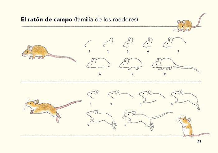 cmo son los animales y cmo dibujarlos