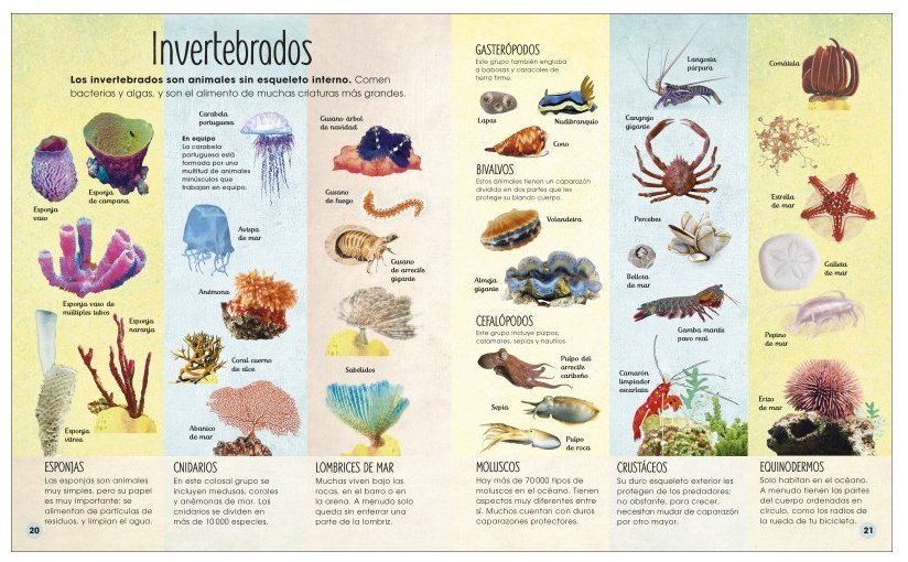 la vida secreta de los ocanos