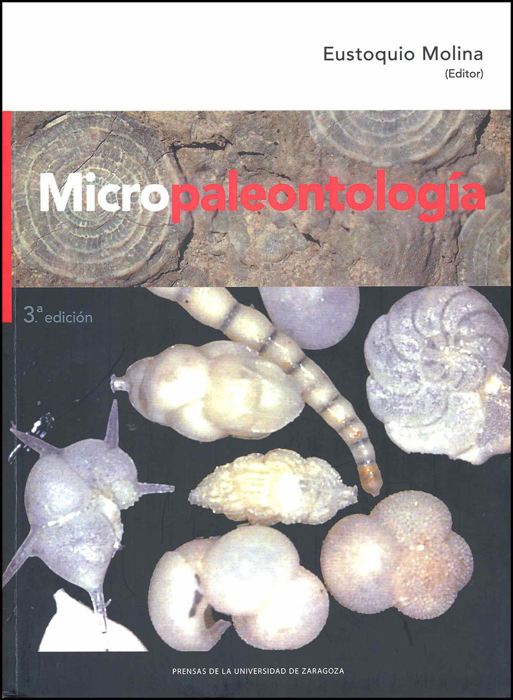 micropaleontologa