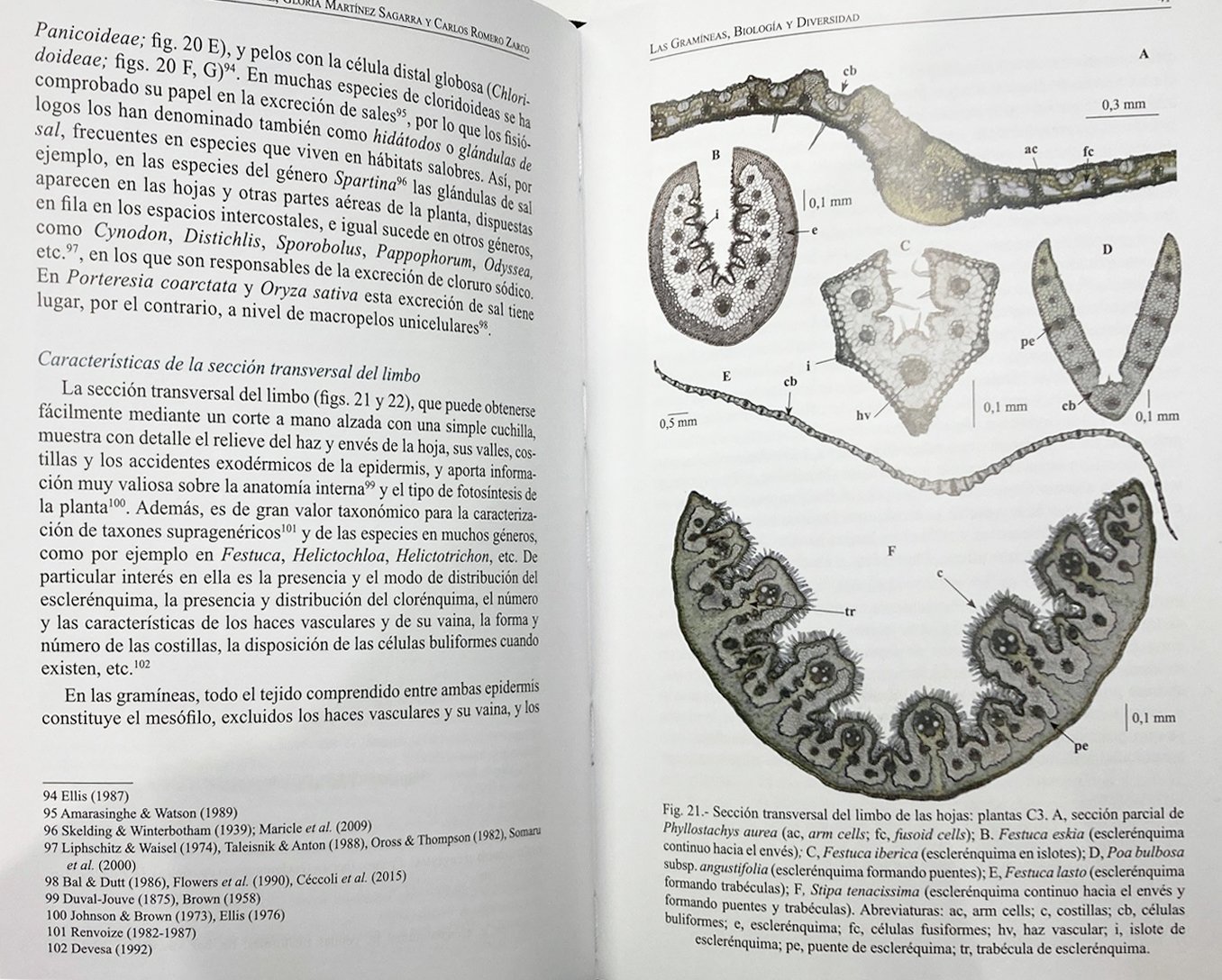 las gramineas. biologa y diversidad