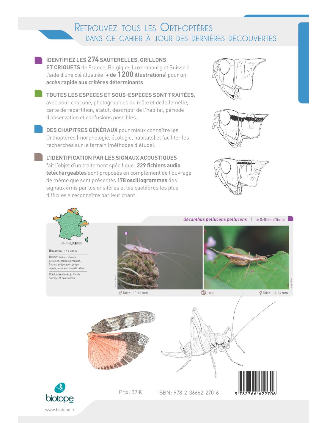 cahier d'identification des orthoptres de france, belgique, luxembourg et suisse