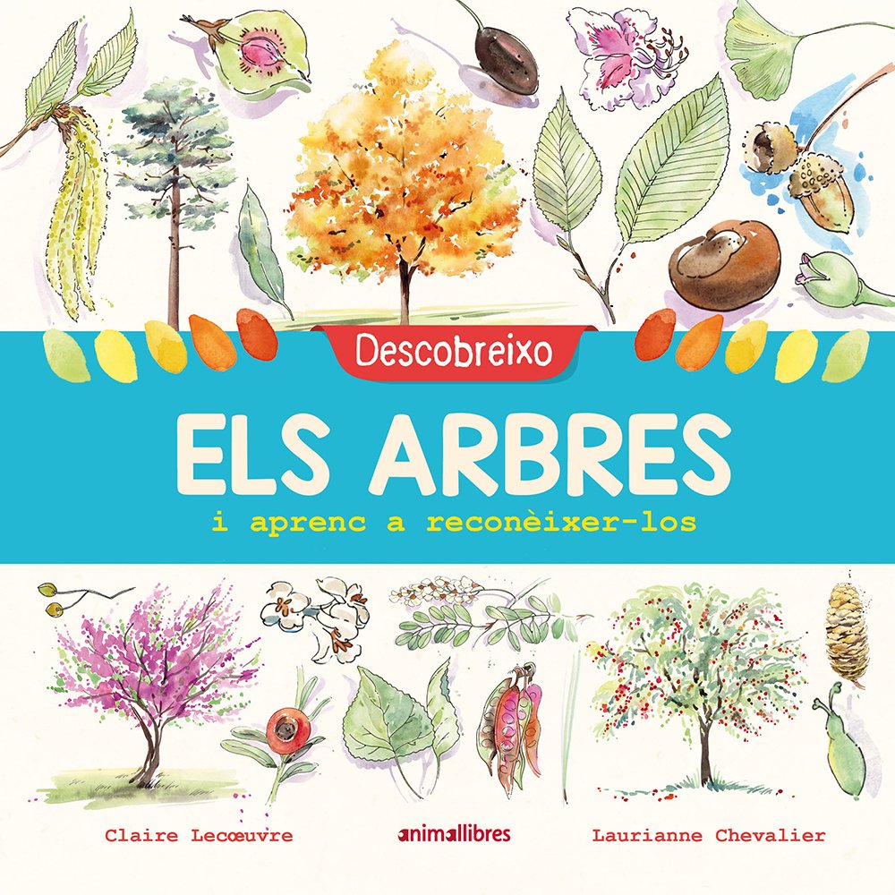 descobreixo els arbres i aprenc a reconixer-los