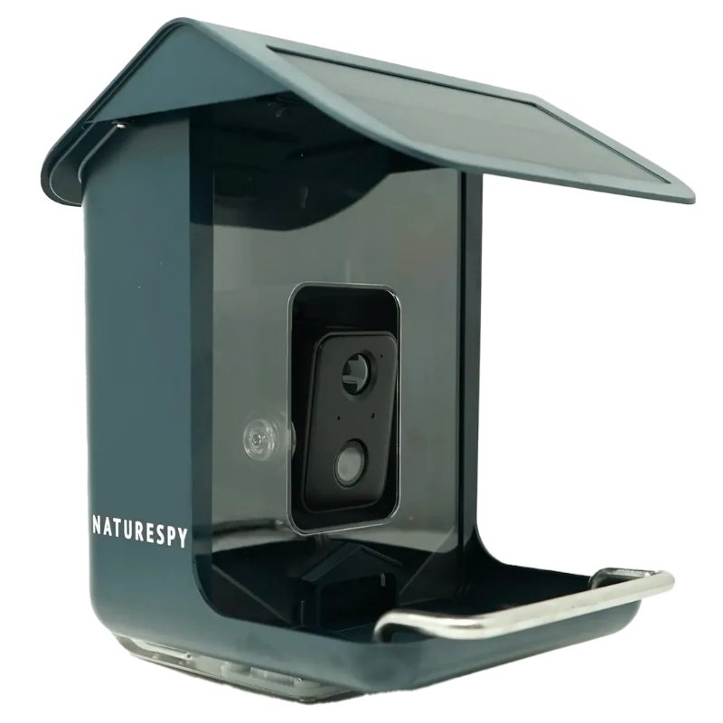 naturespy birdcam pro cmara a color para observacin de aves en comedero con transmisin va wifi