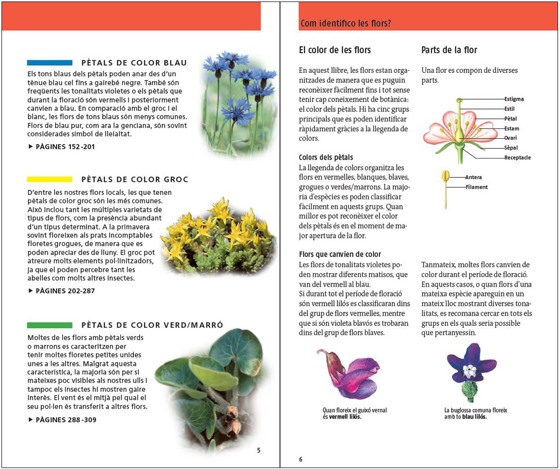 flors. 450 espcies d'europa