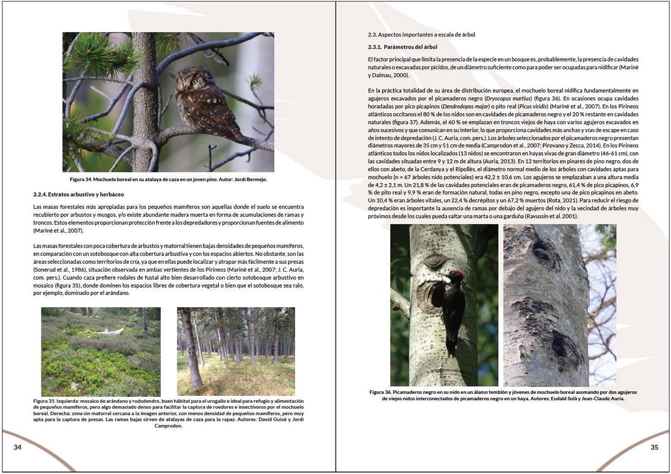 manual para la gestin del hbitat del mochuelo boreal