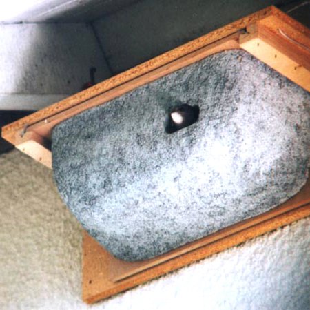 n 18 caja nido para vencejo comn