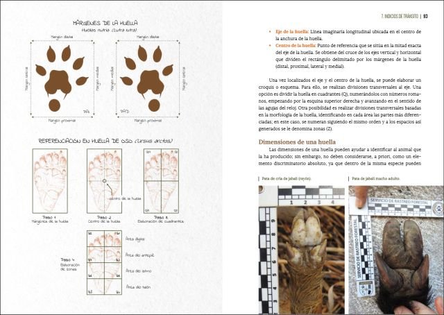 gua visual de huellas y rastros de la fauna de espaa y resto de europa