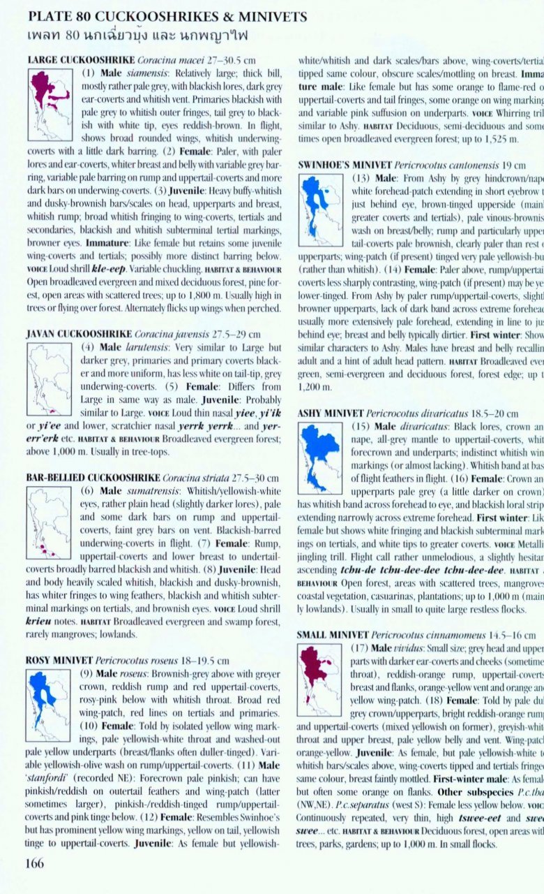 a field guide to the birds of thailand